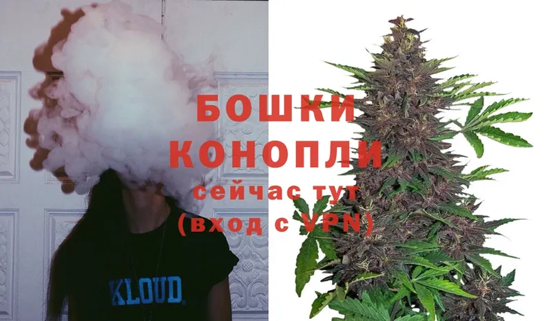 Шишки марихуана OG Kush  купить наркоту  Зея 